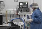 Coronavirus en Argentina: 274 muertes y 11.183 nuevos contagios