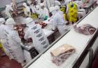 Aprobaron a 15 frigoríficos para exportar 3.500 toneladas de carne kosher a Israel