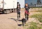Retoman los rastrillajes por la búsqueda de Ezequiel Base