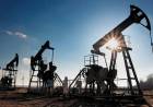Retiraron más de 1.300 metros cúbicos del terreno afectado por el derrame de petróleo