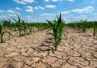Cuáles son las zonas del mundo que serán inhabitables por las olas de calor