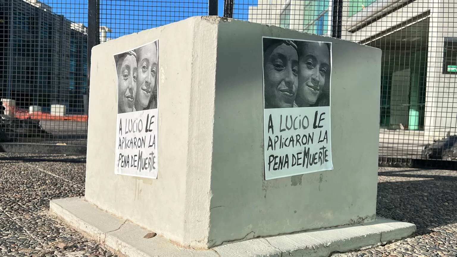 Prisión perpetua para las asesinas de Lucio Dupuy