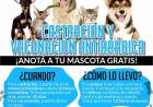Castración y Vacunación Antirrábica