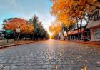 Ludmila Lies fue la ganadora del concurso fotográfico “Suárez en Otoño”