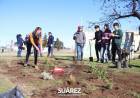 Ambiente: plantamos especies nativas junto a EDES