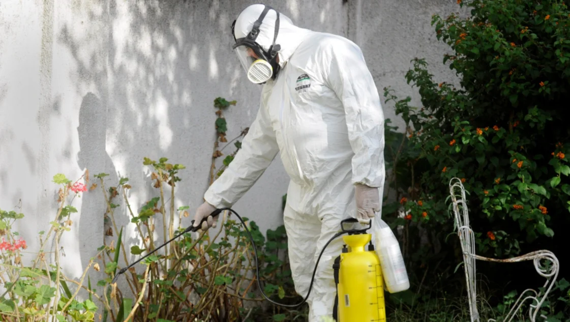 Dengue: la campaña bonaerense de prevención por ahora no abarca a Bahía Blanca y zona