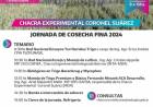 Chacra Experimental Coronel Suárez-Jornada de cosecha fina 2024
