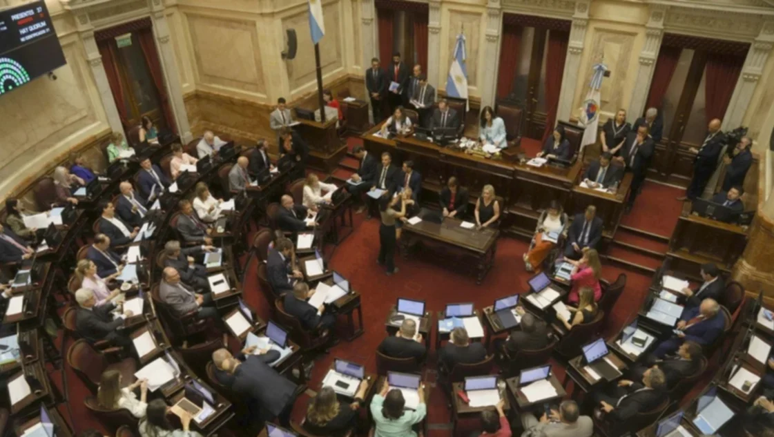 Cobrarán $ 9.500.000: ya rige el aumento de dietas para los senadores nacionales