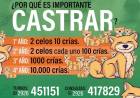 ¡Más de 170 mascotas vacunadas en el Barrio Echaide!