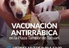 Campaña de Vacunación Antirrábica en la Plaza Tambor de Tacuarí