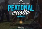 Se viene la 5° edición de la Peatonal Criolla en Coronel Suárez