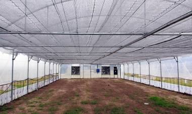 General La Madrid autorizado a cultivar cannabis medicinal