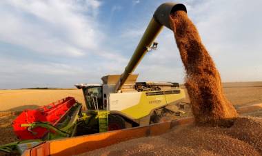 El campo pide que la medida de no vender carne se extienda a los granos