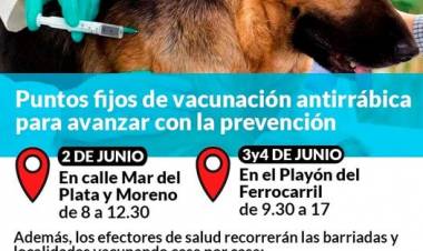 Puntos fijos de vacunación antirrábica para avanzar con la prevención