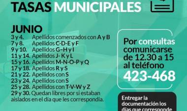 Renovación de Eximición de Tasas Municipales⠀
