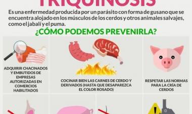 Llegó el invierno…época de carneadas: debemos prevenir la Triquinosis