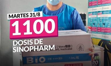 Llegaron 1100 dosis de Sinopharm