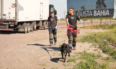 Retoman los rastrillajes por la búsqueda de Ezequiel Base