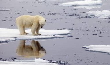 El récord de calor en el Ártico "enciende las alarmas" sobre el cambio climático