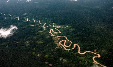 Multaron a una minera canadiense por provocar una inédita mortandad de peces en la selva amazónica