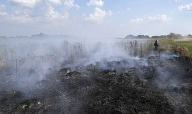 Créditos de hasta $1,5 millones para productores rurales afectados por incendios