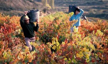 Mendoza será sede de la Asamblea de la Red Mundial de Capitales del Vino