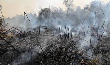 El Gobierno declaró el estado de emergencia y de desastre agropecuario en Corrientes