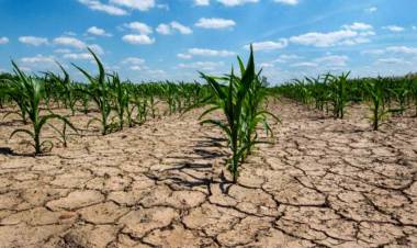 Cuáles fueron las "anomalías" y eventos climáticos extremos en 2021