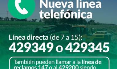 Servicios Públicos: nuevalínea telefónica