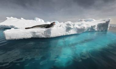 El fotógrafo que desafía los límites de la Patagonia y retrata su mundo animal