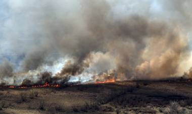 Incendios en el Delta del Paraná: hay focos en Rosario-Victoria, San Pedro y Zárate