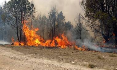 Jujuy declaró la emergencia ígnea y triplicó las multas por causar incendios