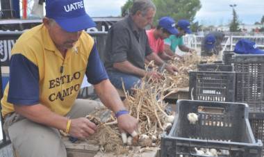 Esperan la llegada de unas 50 mil personas en la Fiesta Nacional del Ajo