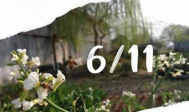 Este domingo estamos de festejo!!! XXIII Feria de de la Horticultura Familiar + Suárez Produce