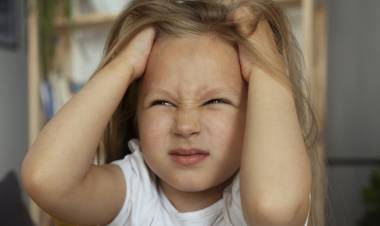 Crearon los “barbijos del Conicet”, facturaron millones y ahora lanzan colitas “anti-piojos” para el pelo