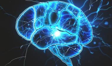 Cuidar la salud del cerebro: qué hábitos que debemos tener en cuenta