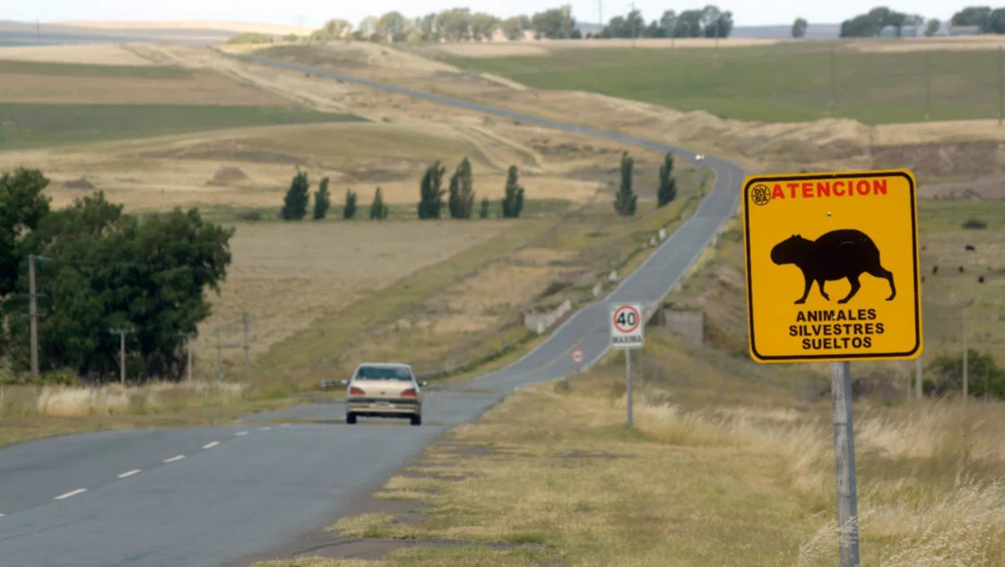 Piden informes por la suspensión de una obra fundamental