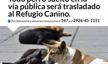 INFORMACIÓN IMPORTANTE PARA PROPIETARIOS DE PERROS