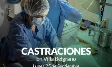 El Castramóvil atenderá en Villa Belgrano
