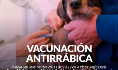 Campañas de vacunación antirrábica en Pueblo San José y en Coronel Suárez