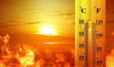 Advierten que el cambio climático reduciría la esperanza de vida en medio año