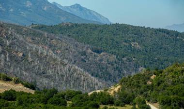 Incendios en la Patagonia andina: por qué los expertos prevén cada vez más fuego
