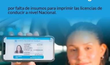 Por falta de insumos en Nación, continua la habilitación del uso de licencia de conducir digital