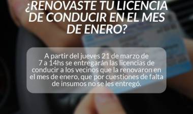 Atención vecinos que renovaron la licencia de conducir en el mes de enero
