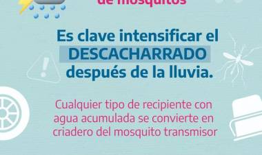Reiteramos las medidas de prevención para evitar criaderos de mosquitos