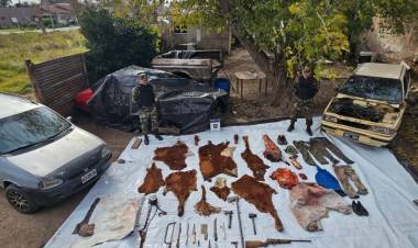 Abigeato: Aprehenden a una persona y secuestran restos de animales en Gonzáles Chaves