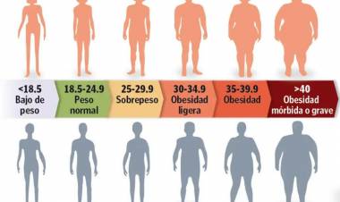 Cuánto debería pesar según mi altura y cómo calcularlo fácilmente