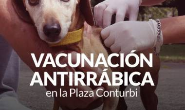 Campaña de Vacunación Antirrábica en la Plaza Conturbi