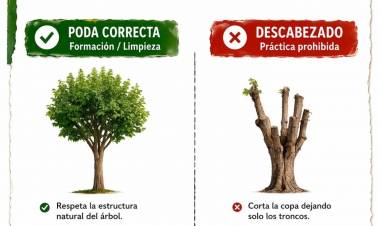 ¡ATENCIÓN VECINOS! INICIÓ LA TEMPORADA DE PODA