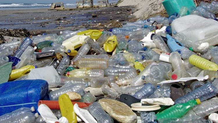 Pronostican que los residuos de la pandemia terminarán formando piscinas de microplásticos